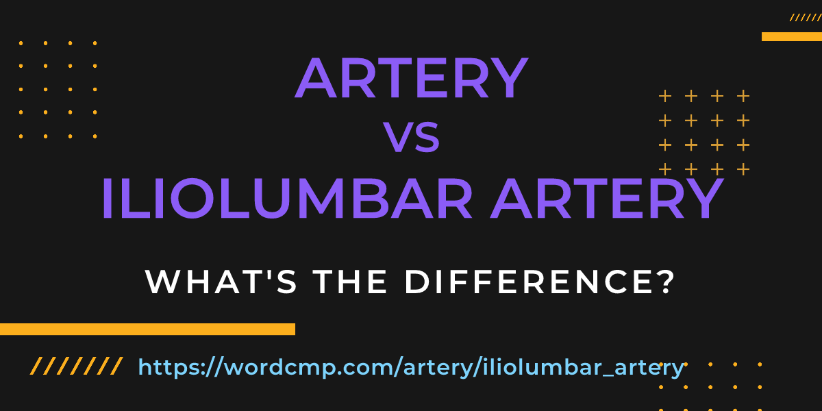 Difference between artery and iliolumbar artery