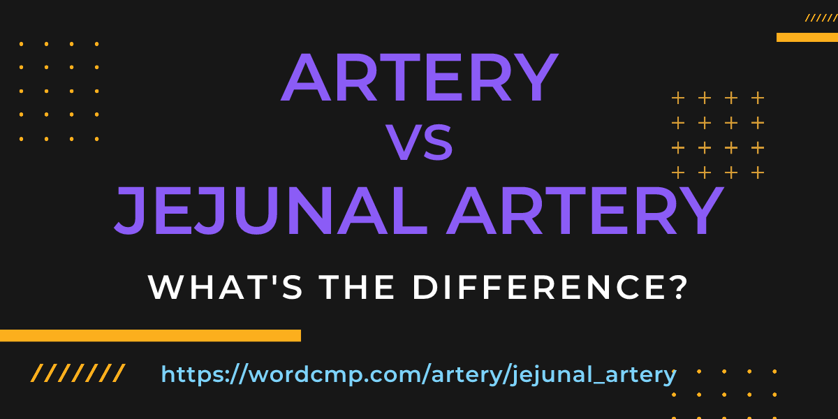 Difference between artery and jejunal artery