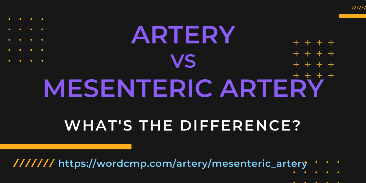 Difference between artery and mesenteric artery