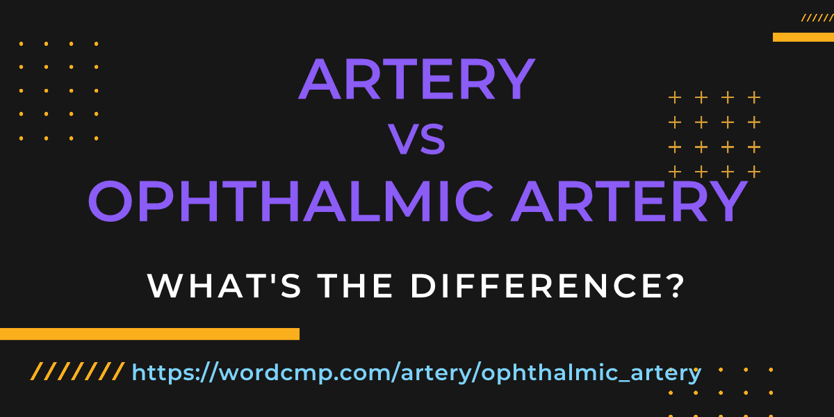 Difference between artery and ophthalmic artery