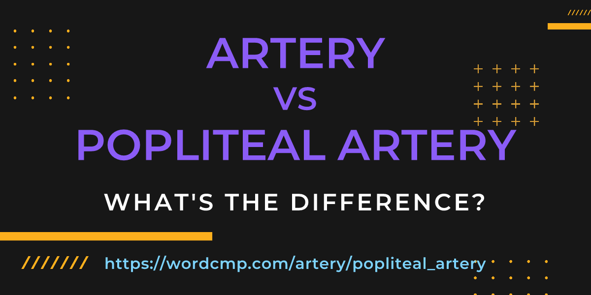Difference between artery and popliteal artery