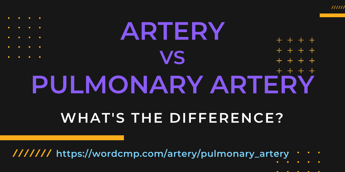 Difference between artery and pulmonary artery
