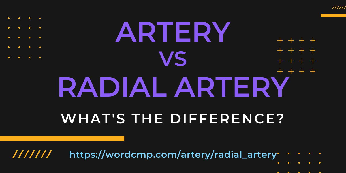 Difference between artery and radial artery
