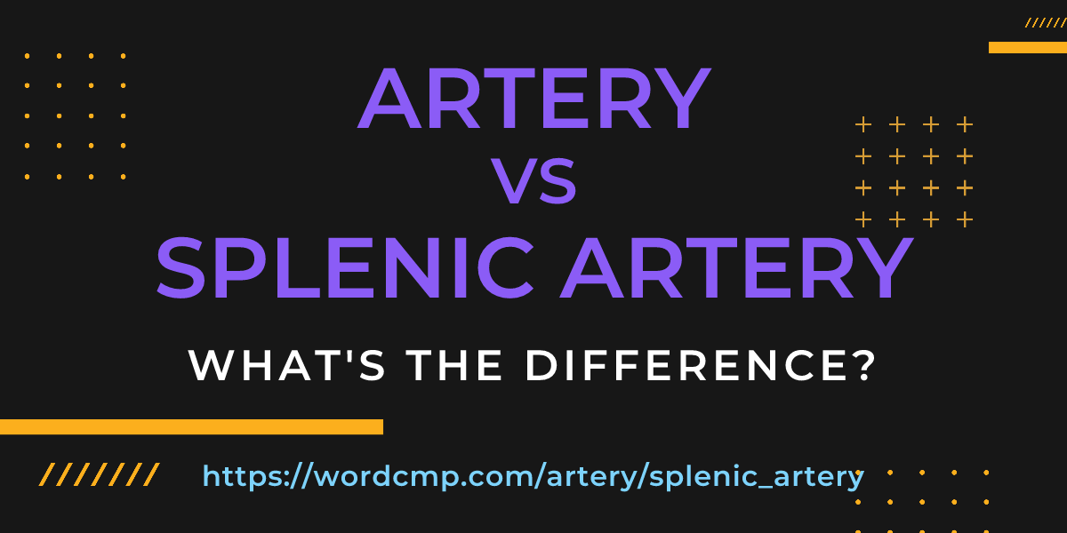 Difference between artery and splenic artery