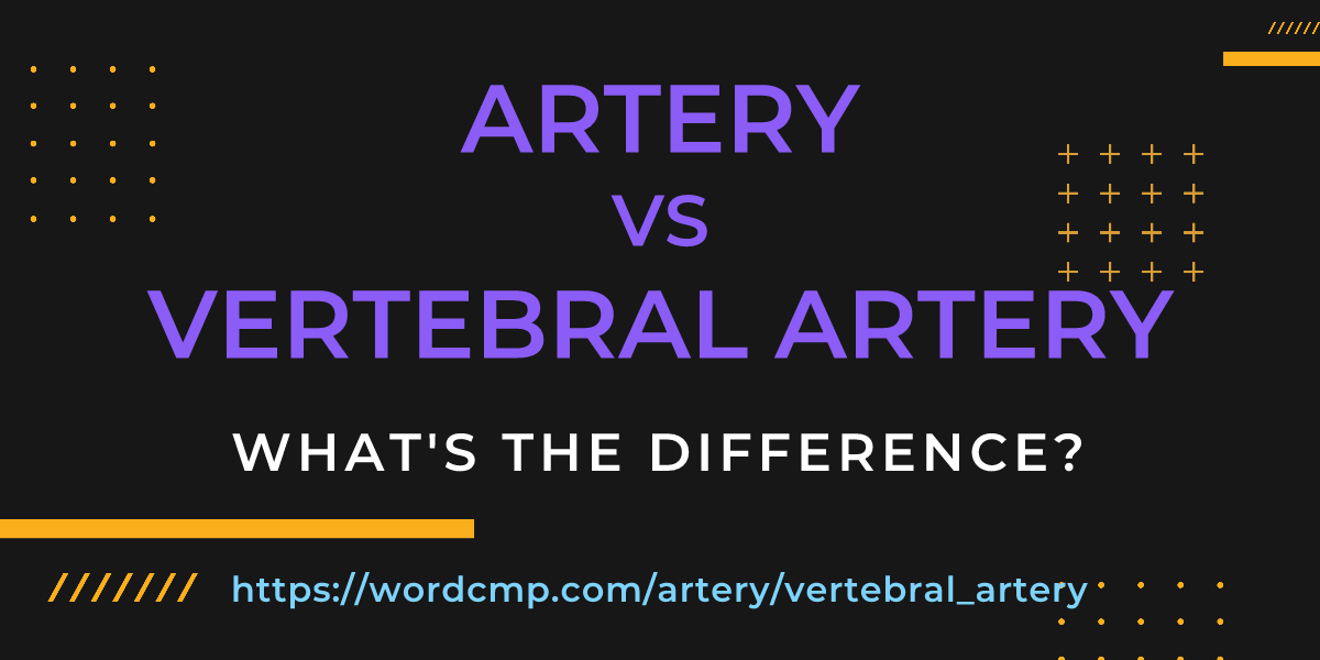 Difference between artery and vertebral artery