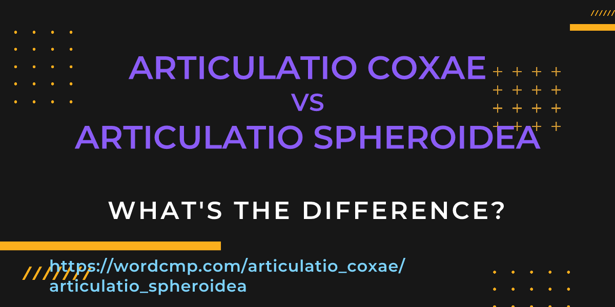 Difference between articulatio coxae and articulatio spheroidea