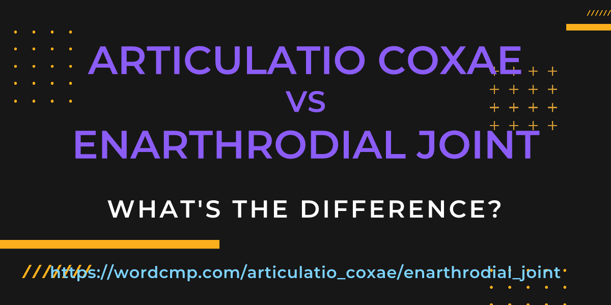 Difference between articulatio coxae and enarthrodial joint