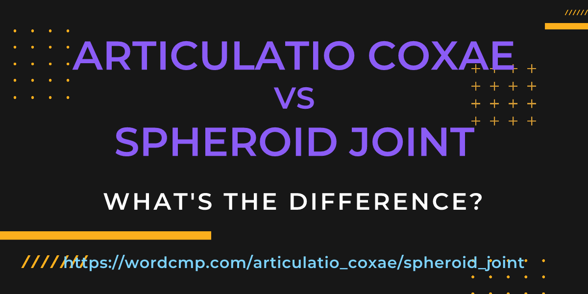 Difference between articulatio coxae and spheroid joint