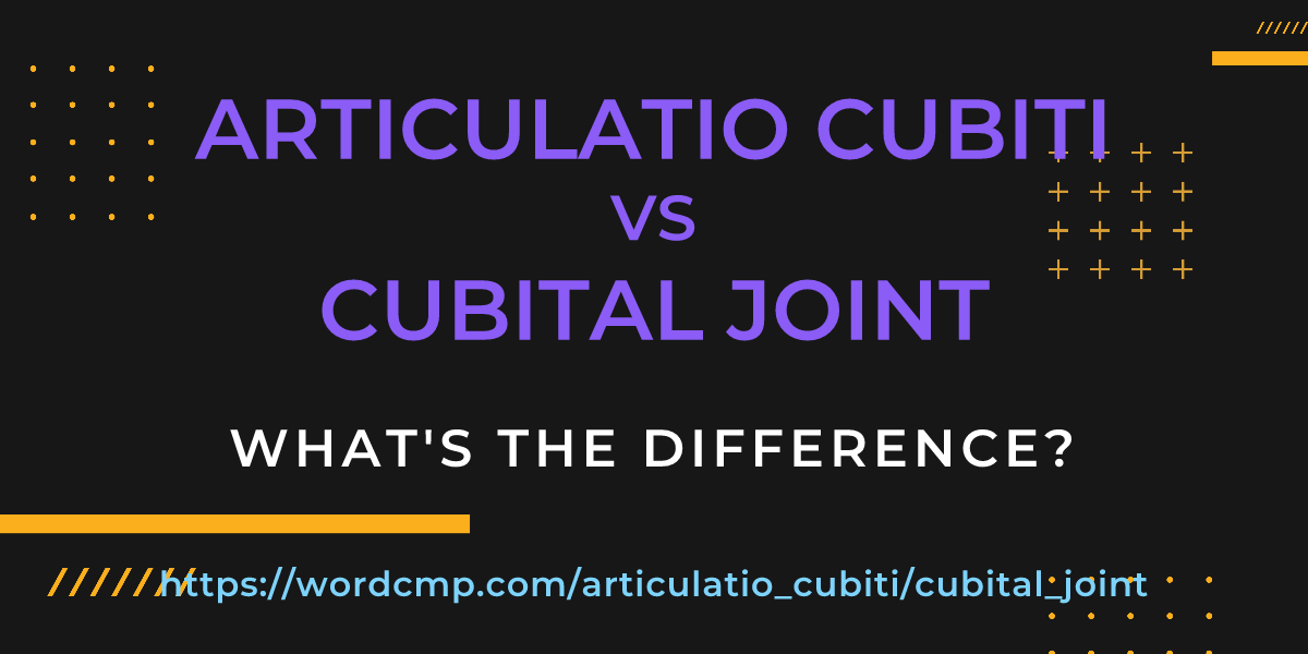 Difference between articulatio cubiti and cubital joint