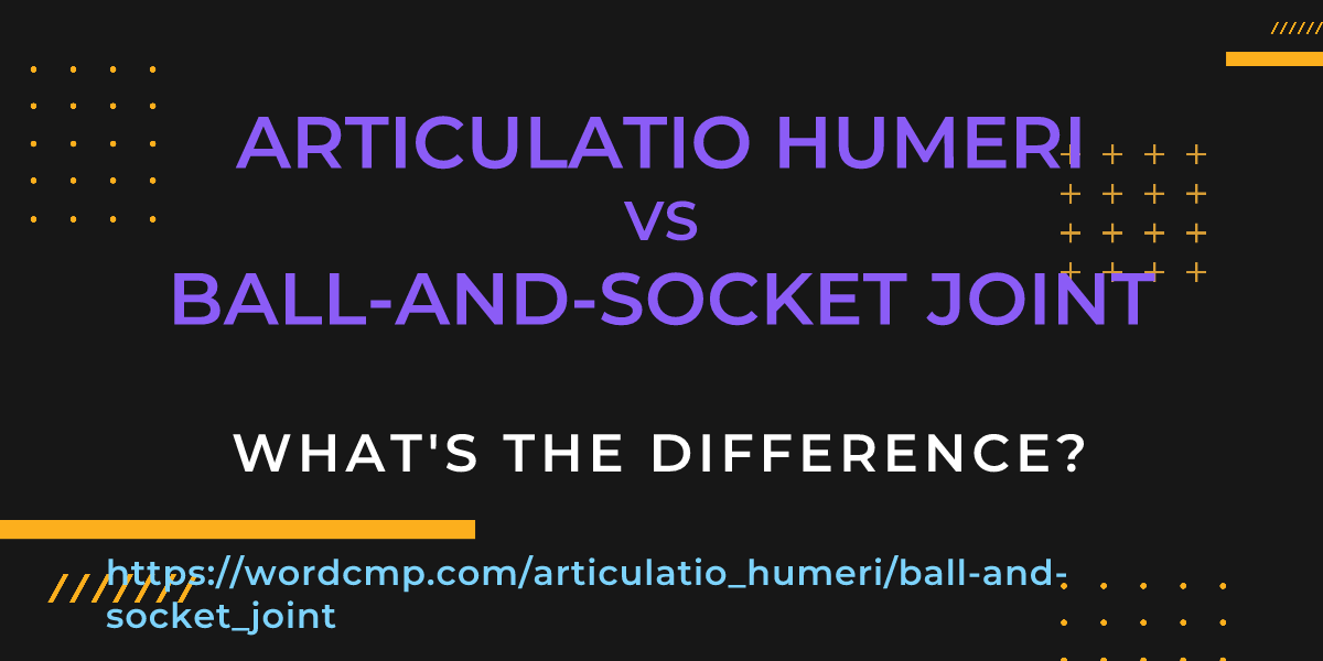 Difference between articulatio humeri and ball-and-socket joint