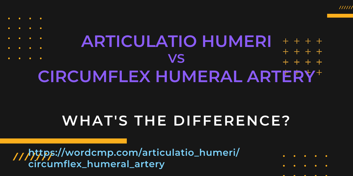 Difference between articulatio humeri and circumflex humeral artery