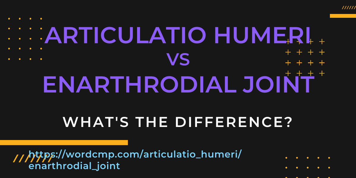Difference between articulatio humeri and enarthrodial joint