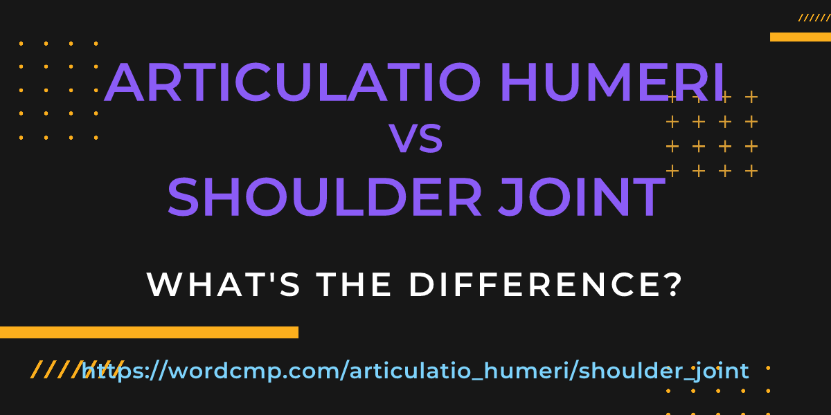 Difference between articulatio humeri and shoulder joint