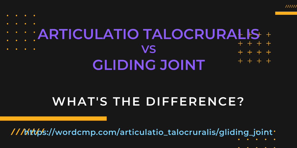 Difference between articulatio talocruralis and gliding joint