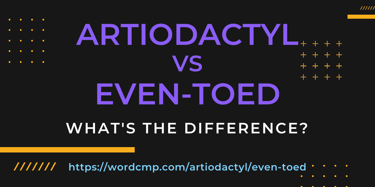 Difference between artiodactyl and even-toed