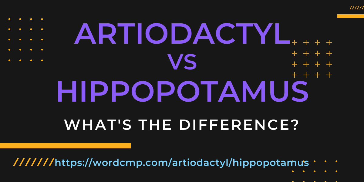 Difference between artiodactyl and hippopotamus