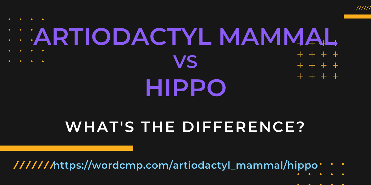 Difference between artiodactyl mammal and hippo