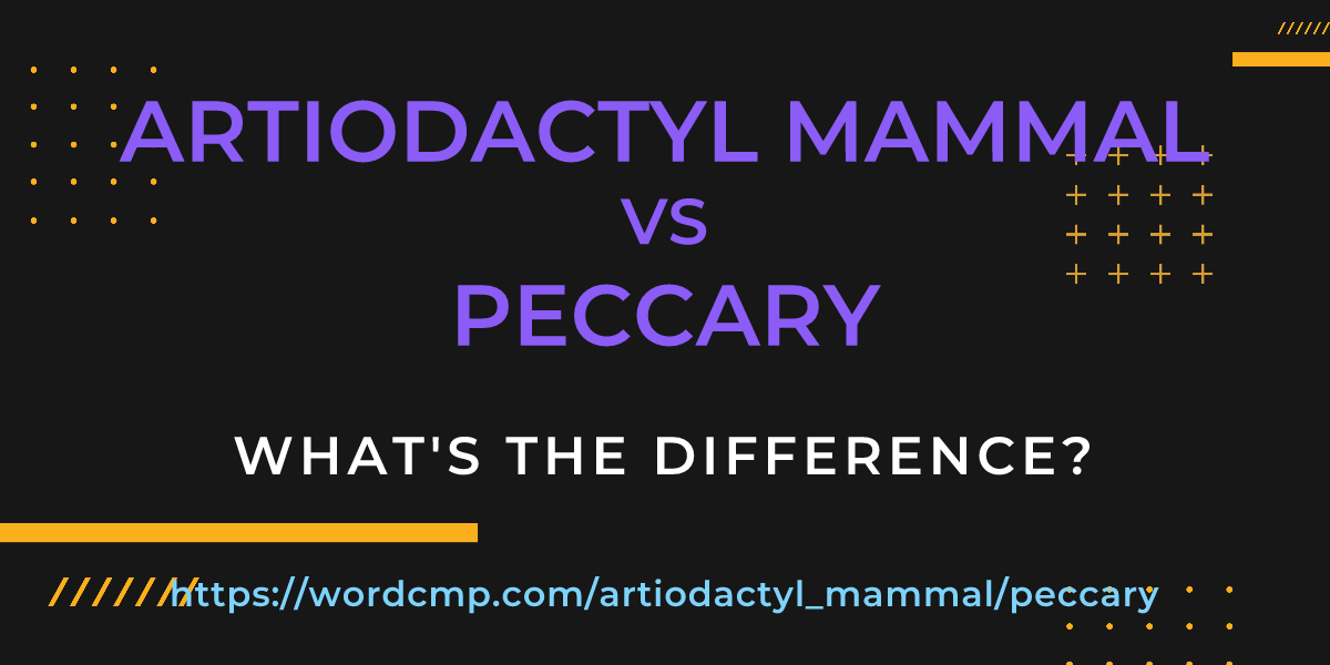 Difference between artiodactyl mammal and peccary