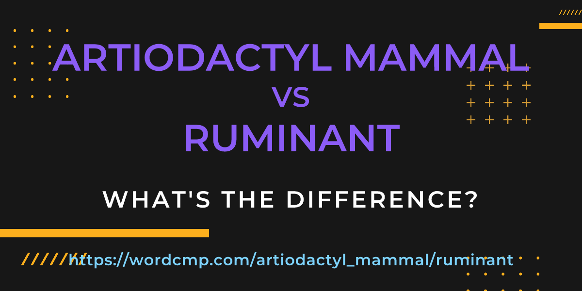 Difference between artiodactyl mammal and ruminant