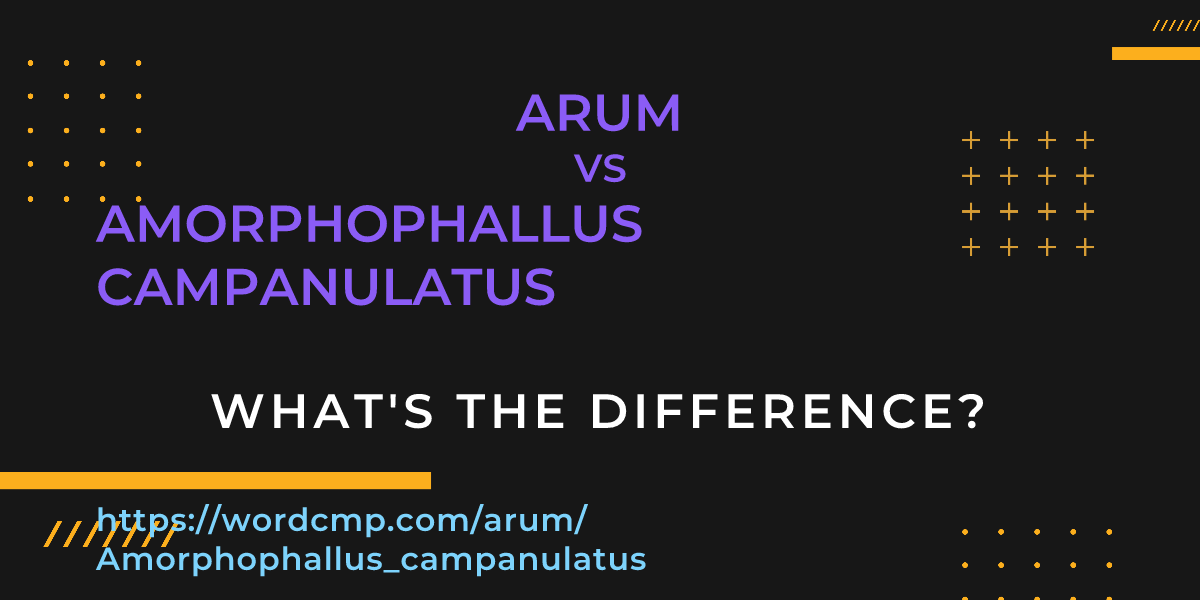 Difference between arum and Amorphophallus campanulatus