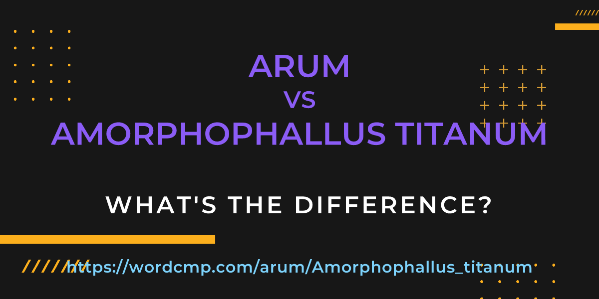 Difference between arum and Amorphophallus titanum