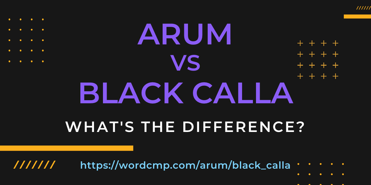 Difference between arum and black calla