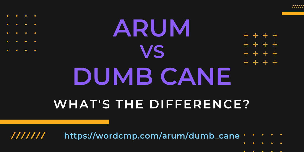 Difference between arum and dumb cane
