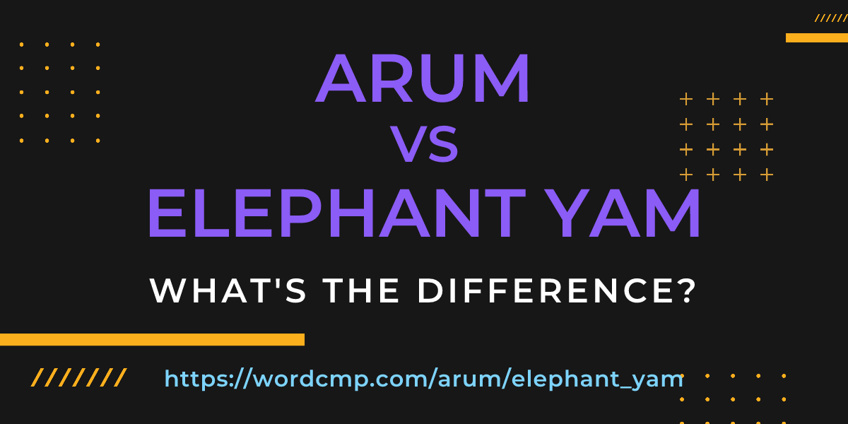 Difference between arum and elephant yam