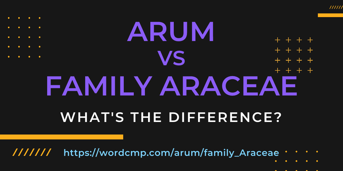 Difference between arum and family Araceae