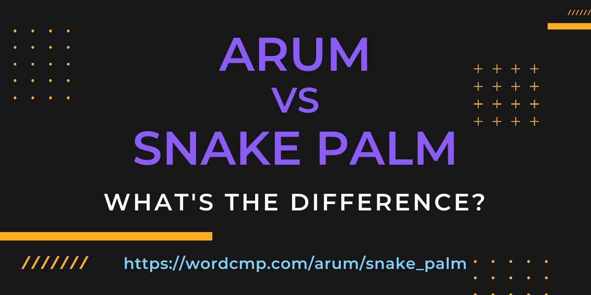 Difference between arum and snake palm
