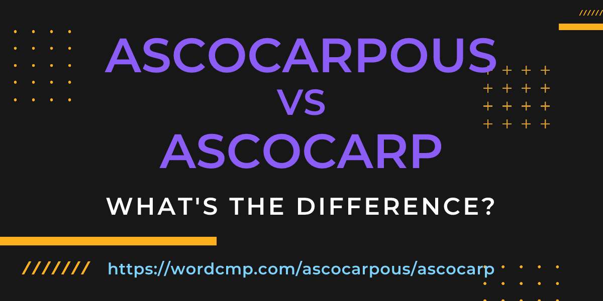 Difference between ascocarpous and ascocarp