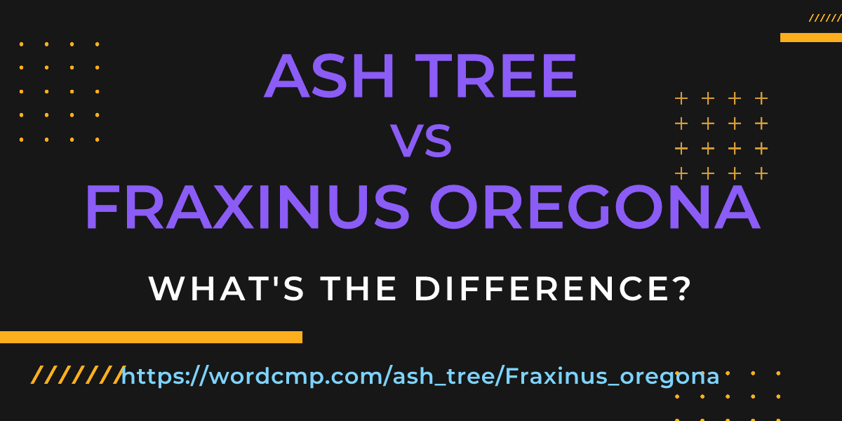 Difference between ash tree and Fraxinus oregona