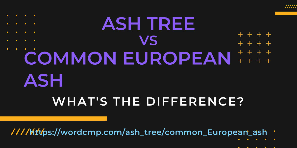 Difference between ash tree and common European ash