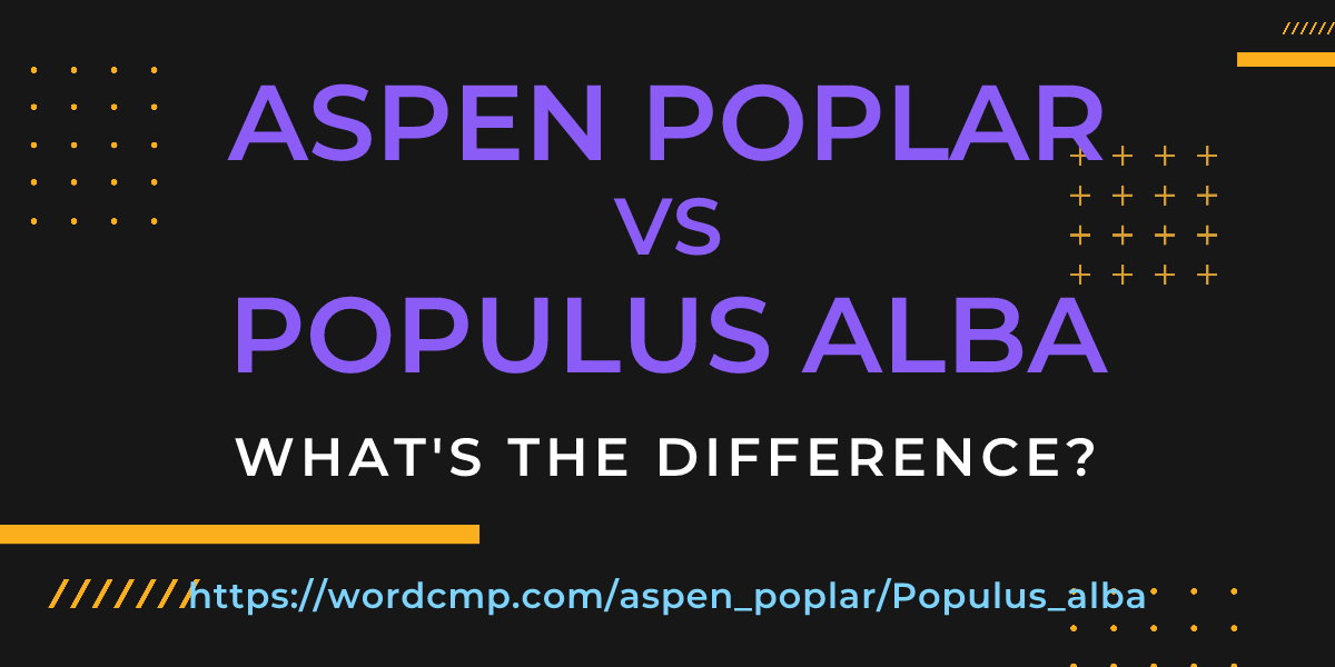 Difference between aspen poplar and Populus alba