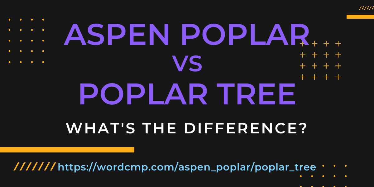 Difference between aspen poplar and poplar tree