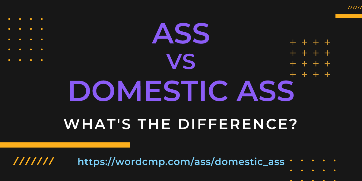 Difference between ass and domestic ass