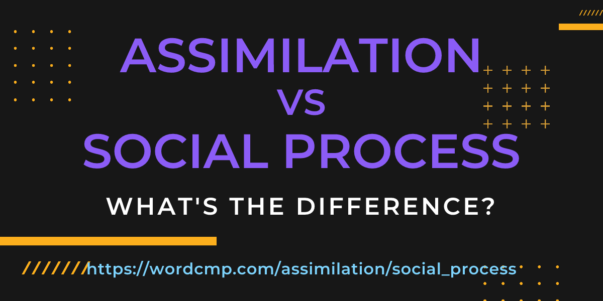 Difference between assimilation and social process