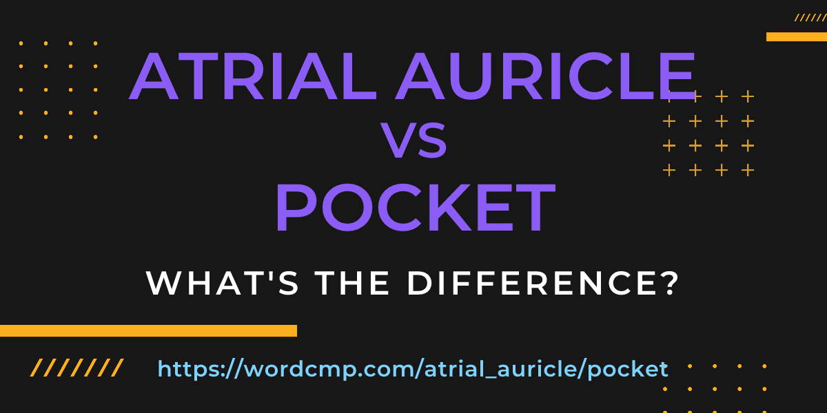 Difference between atrial auricle and pocket