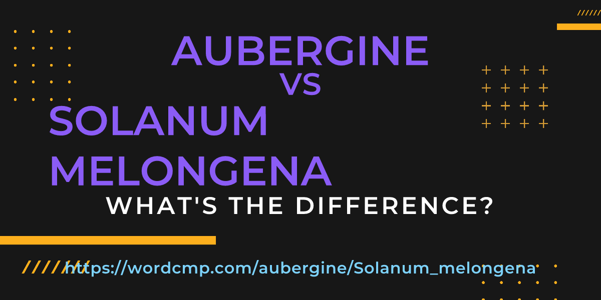 Difference between aubergine and Solanum melongena