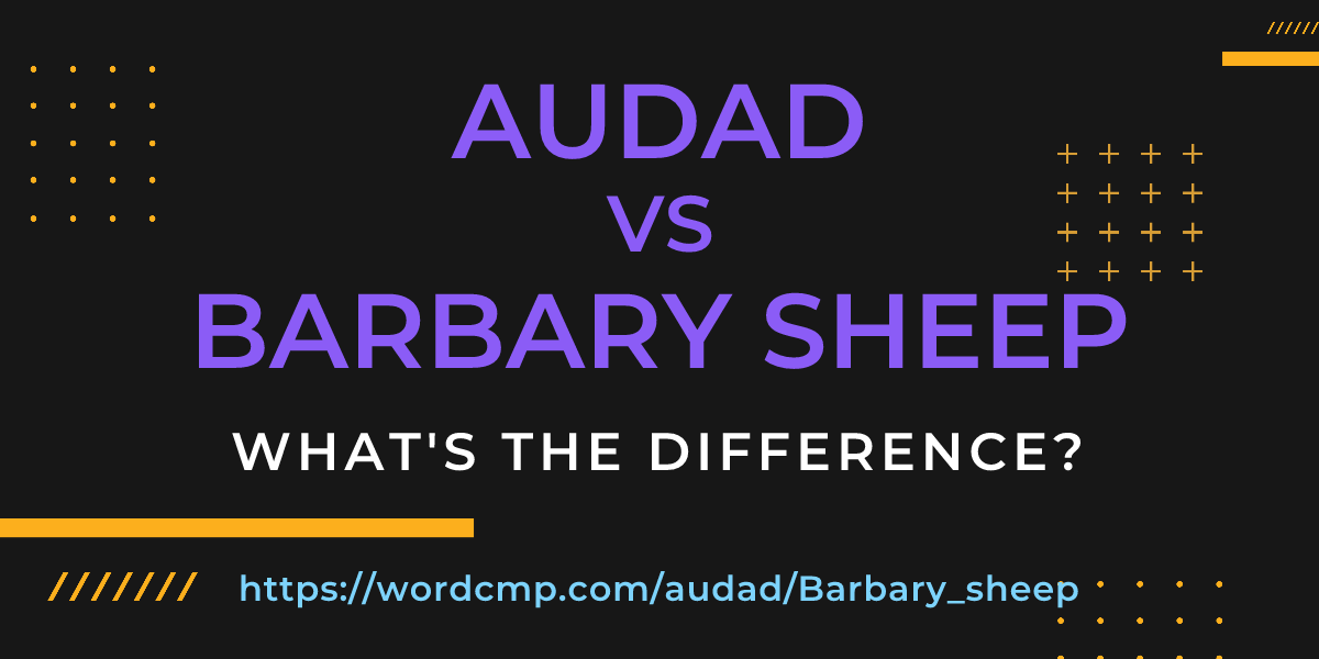 Difference between audad and Barbary sheep