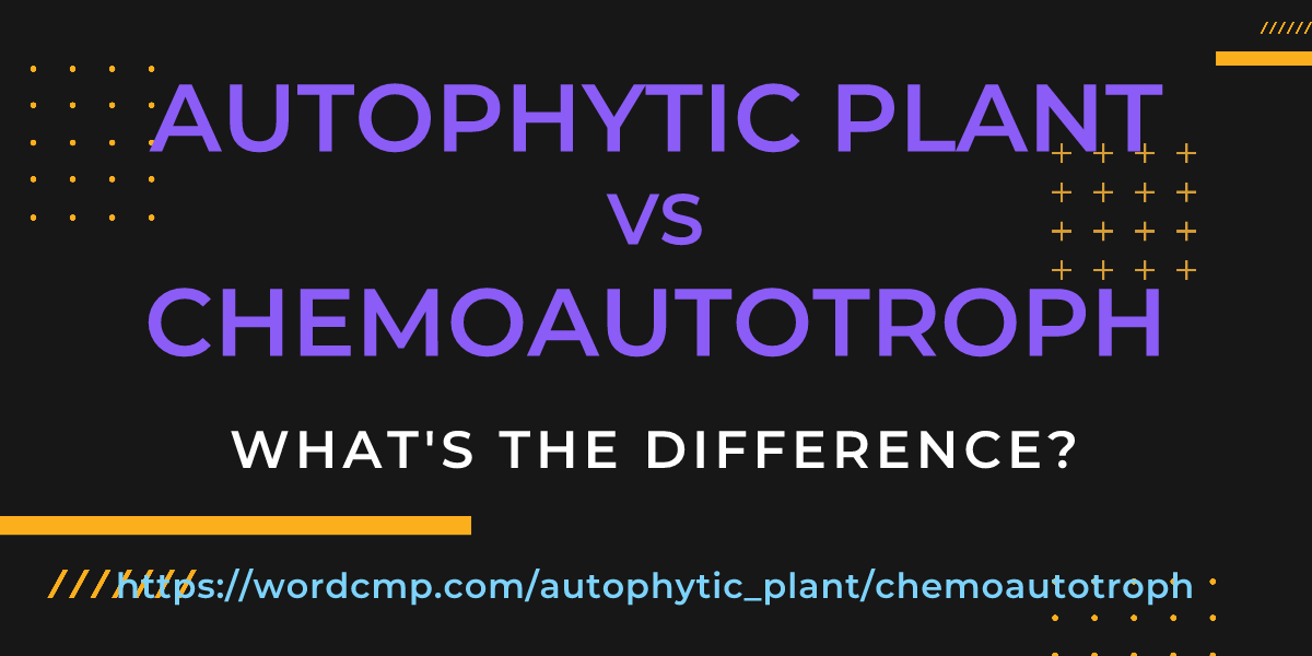 Difference between autophytic plant and chemoautotroph