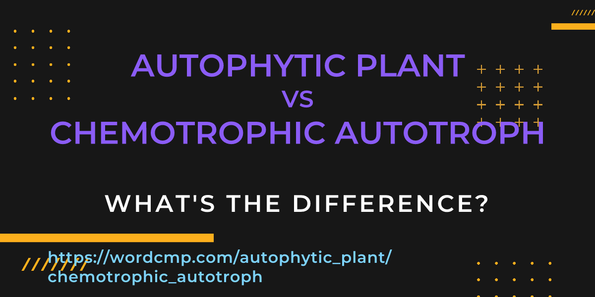 Difference between autophytic plant and chemotrophic autotroph