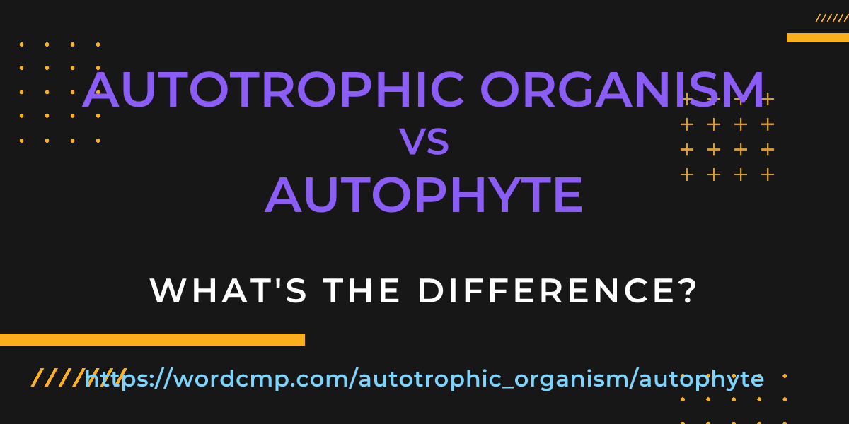 Difference between autotrophic organism and autophyte
