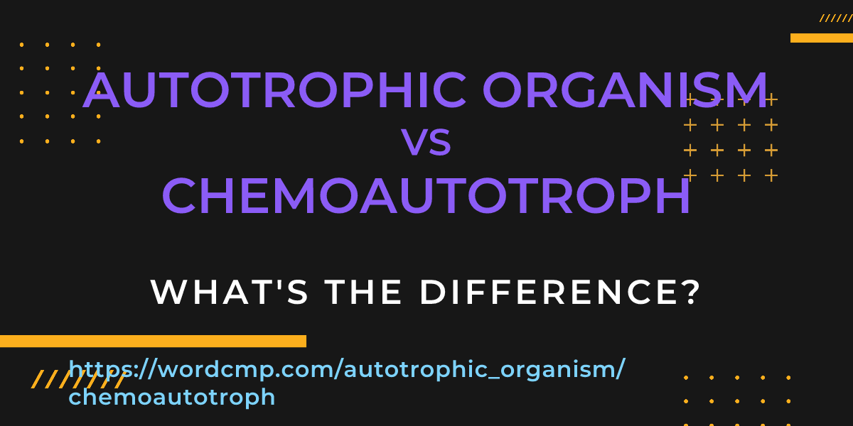 Difference between autotrophic organism and chemoautotroph