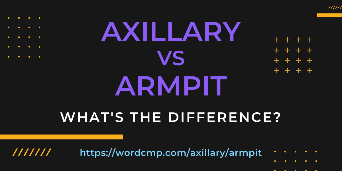 Difference between axillary and armpit