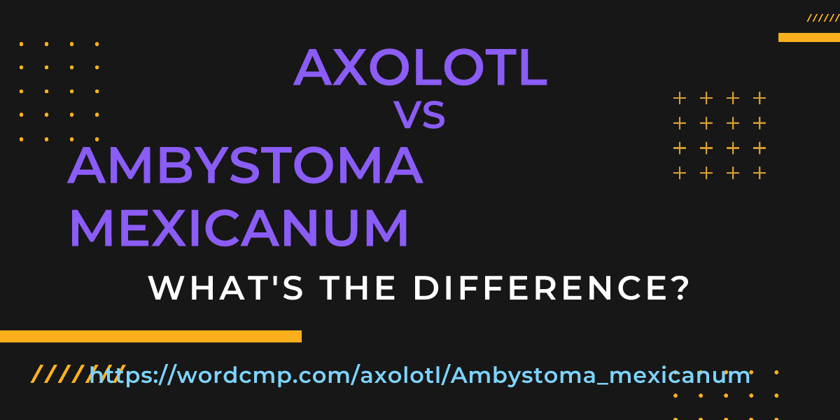 Difference between axolotl and Ambystoma mexicanum