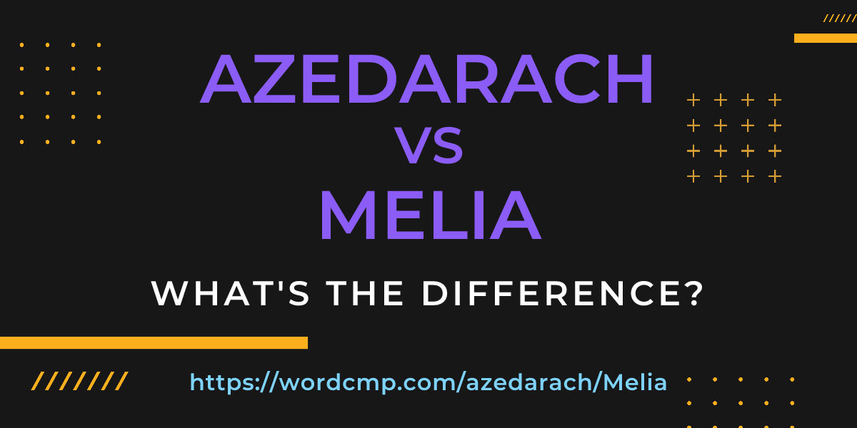 Difference between azedarach and Melia