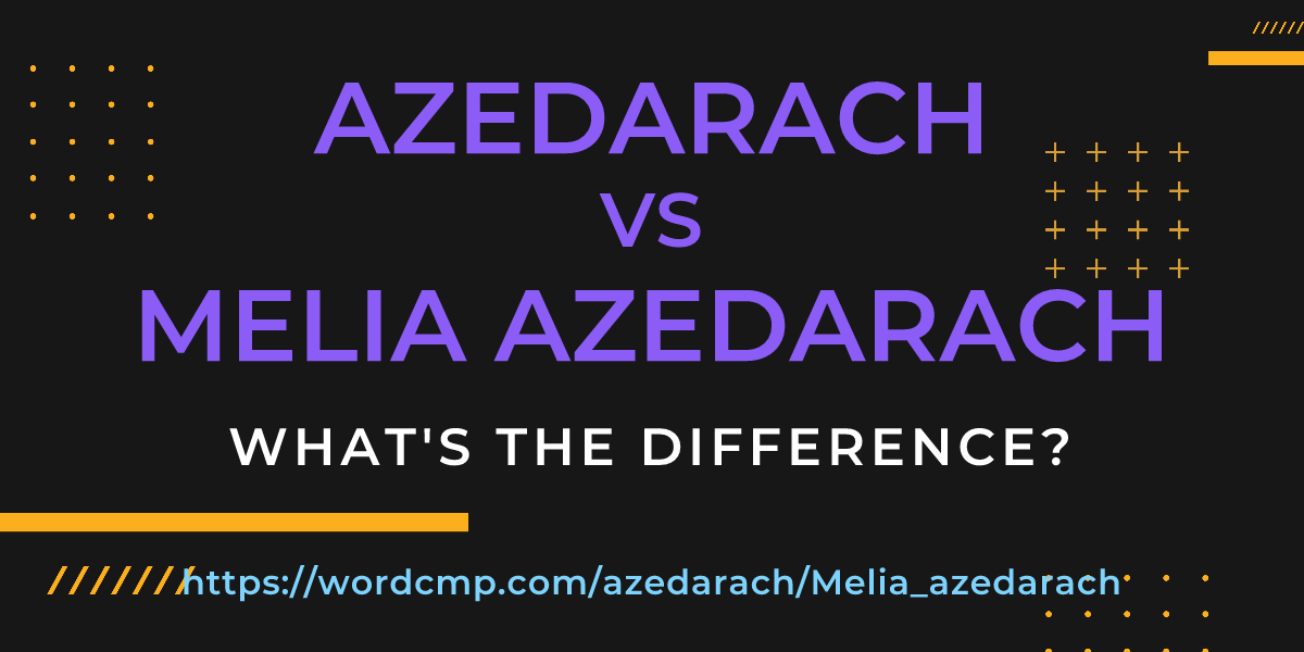 Difference between azedarach and Melia azedarach