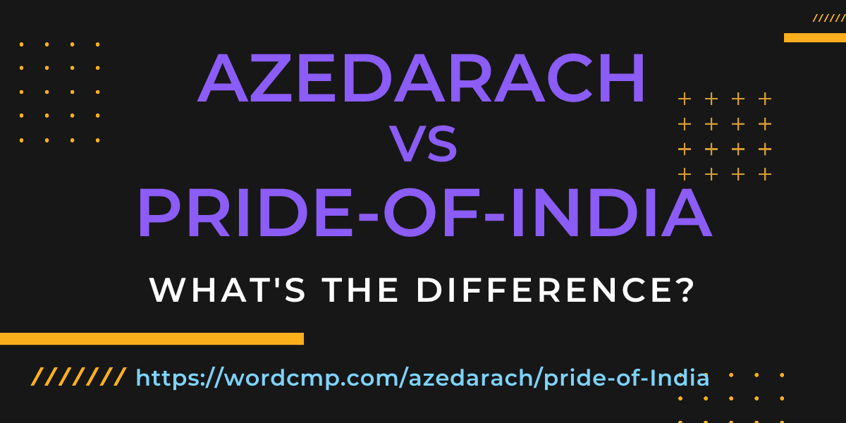 Difference between azedarach and pride-of-India
