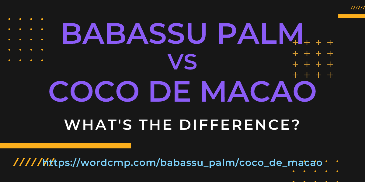 Difference between babassu palm and coco de macao